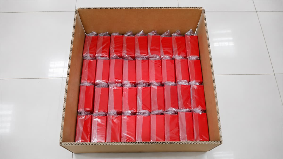 Custom Ice Mold Bulk Carton Packing